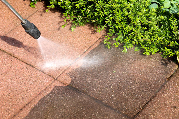 Best Exterior Home Cleaning  in Asbury Park, NJ