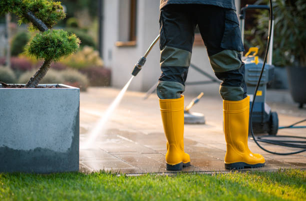 Best Roof Pressure Washing  in Asbury Park, NJ